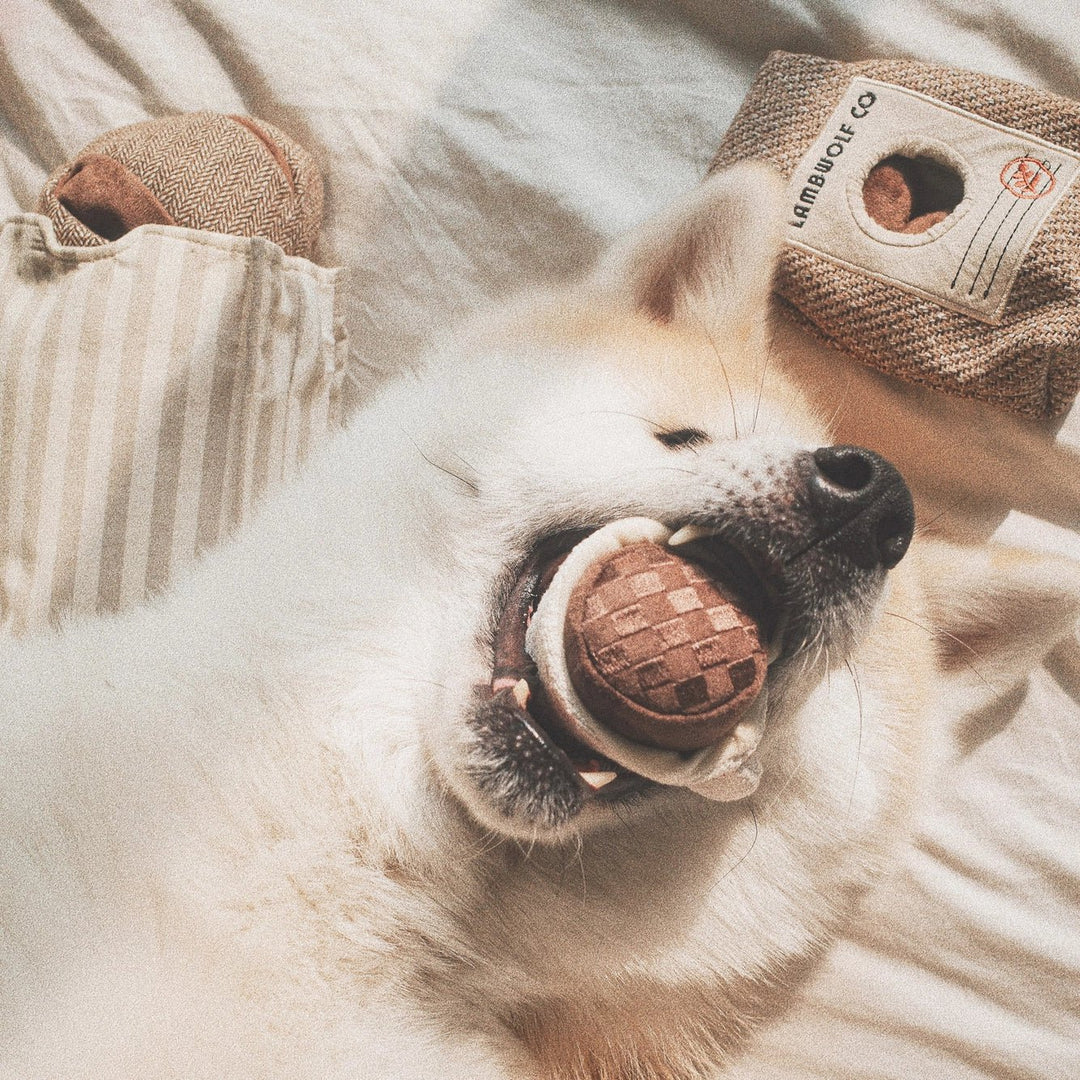 Alene Hjemme? Sådan Undgår Du Ødelagte Møbler