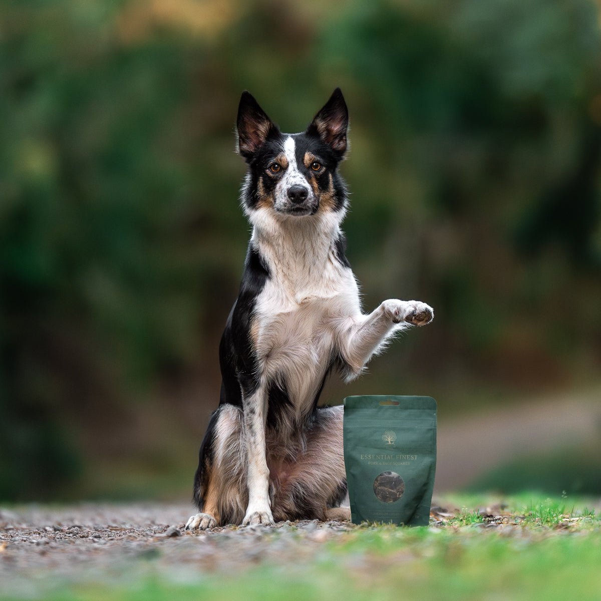 Hvad er godt hundefoder?