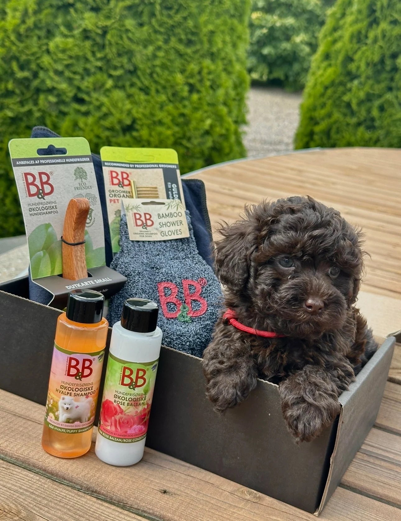 B&B Økologi - HappyPuppy.dk