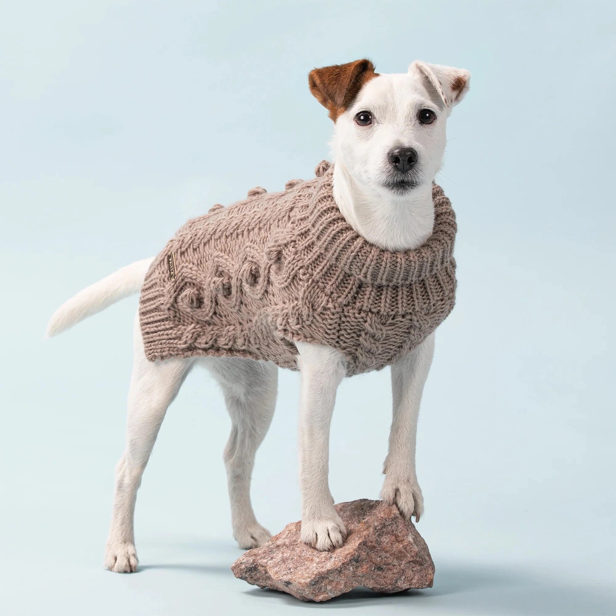 Hundetrøjer - HappyPuppy.dk