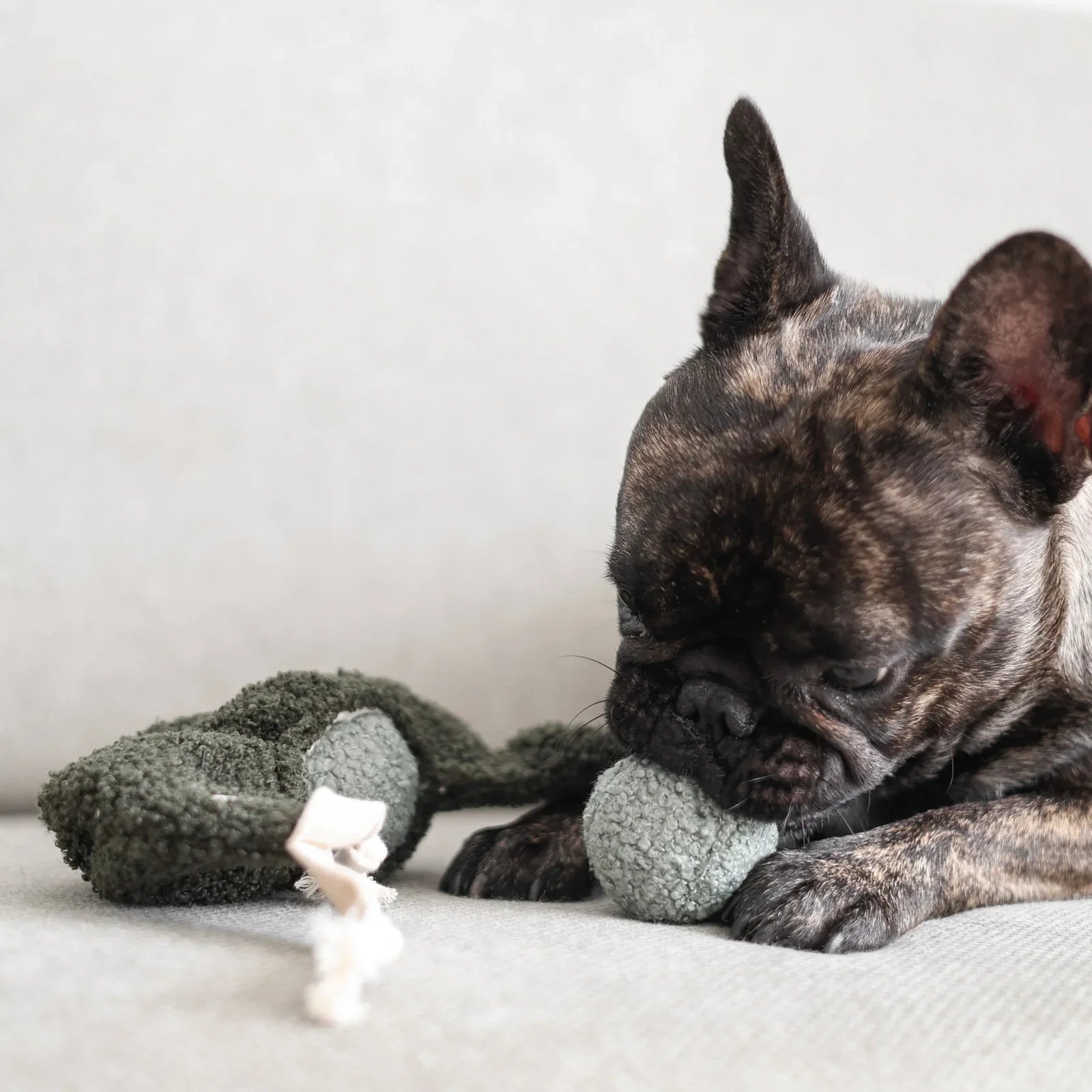 Lambwolf Collective - HappyPuppy.dk