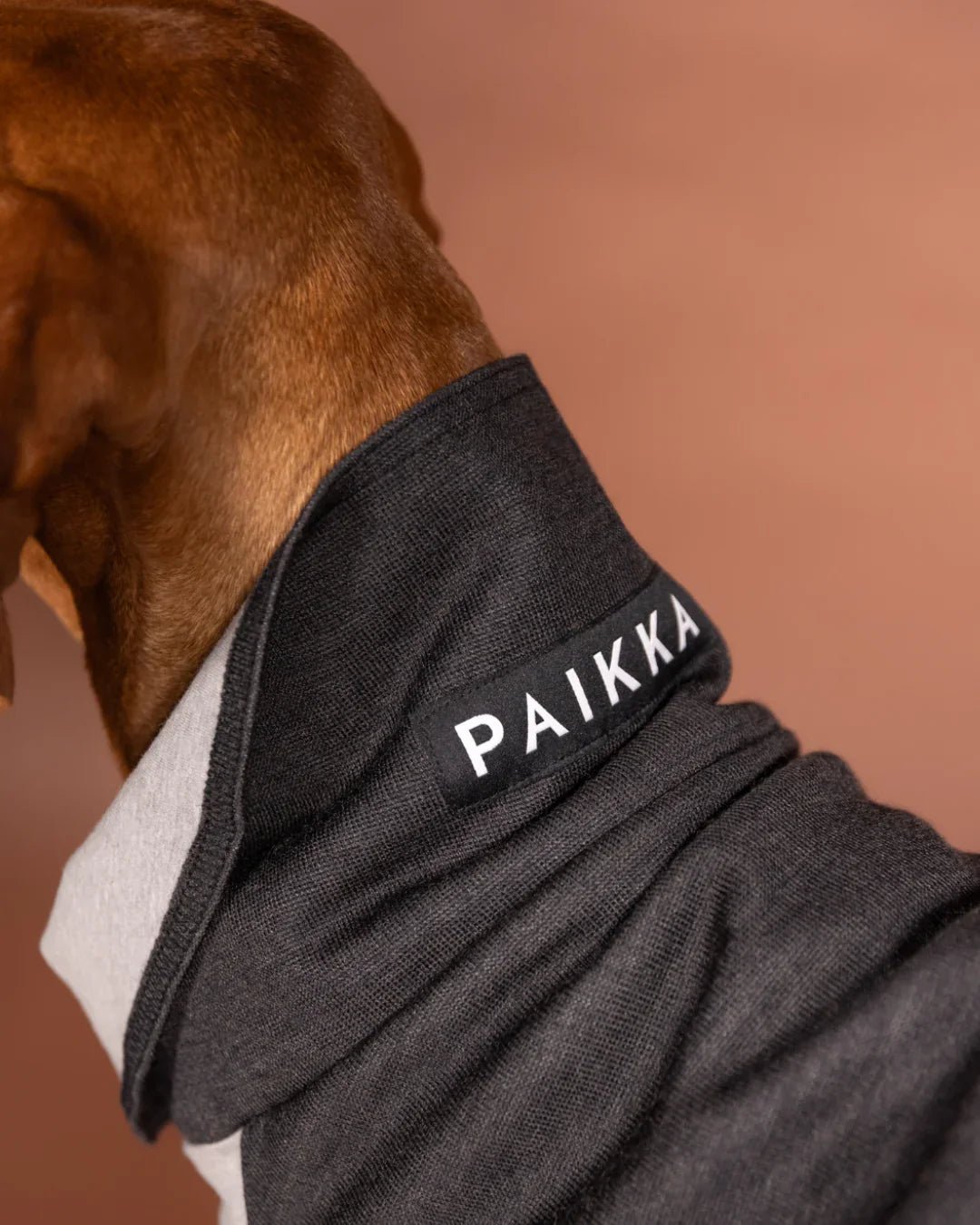 PAIKKA - HappyPuppy.dk