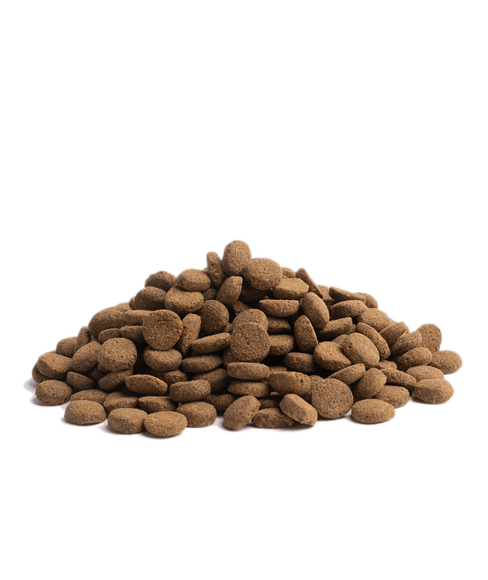 10KG ESSENTIAL CONTOUR - PupDeluxe.dk