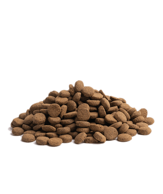 10KG ESSENTIAL CONTOUR - PupDeluxe.dk