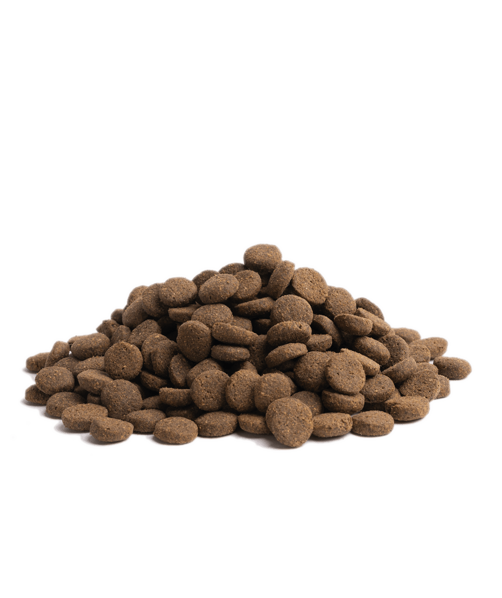 10KG ESSENTIAL ESTATE LIVING - PupDeluxe.dk