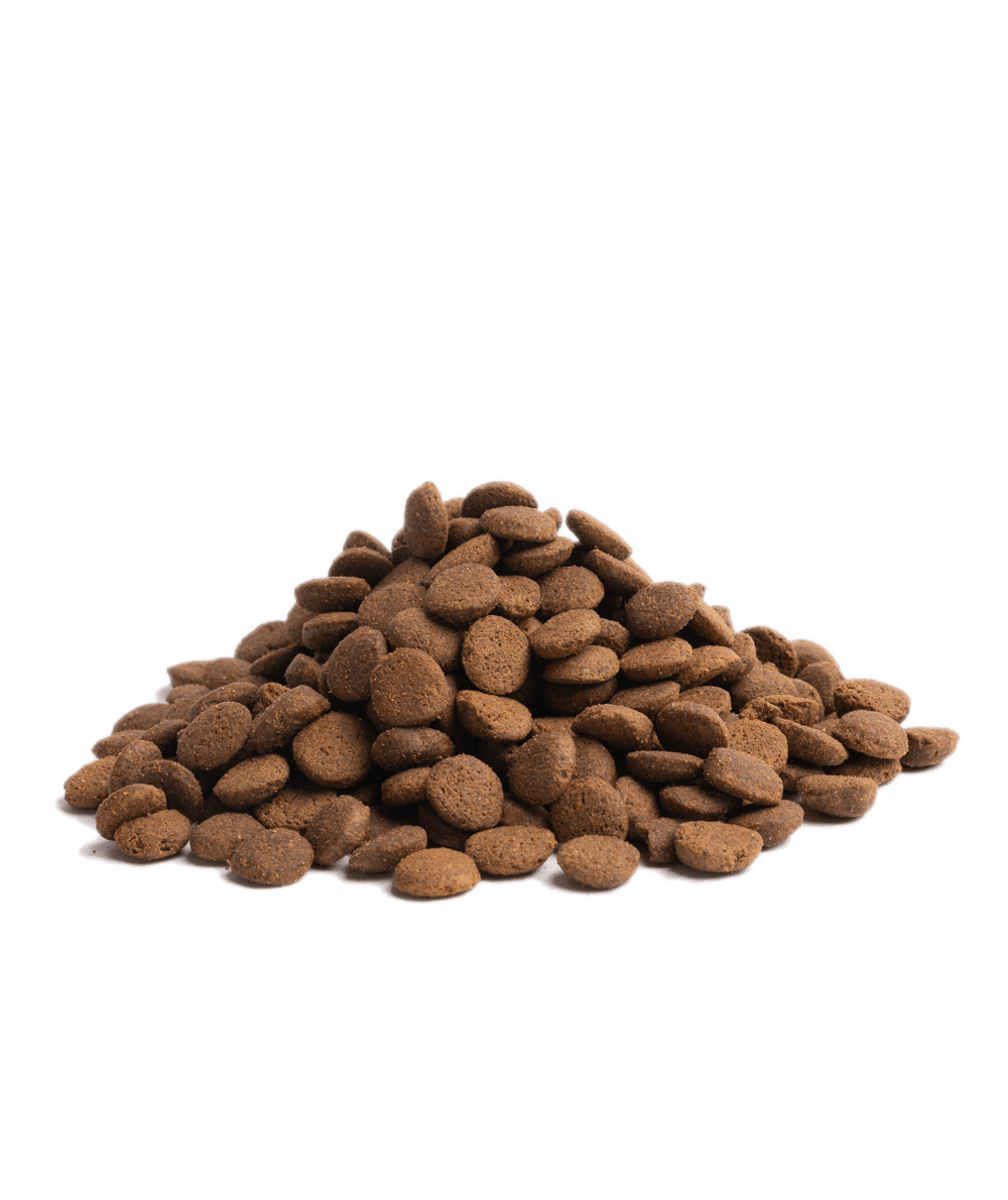 10KG ESSENTIAL HIGHLAND LIVING - PupDeluxe.dk