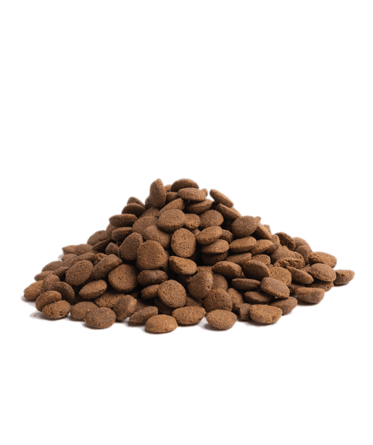 10KG ESSENTIAL HIGHLAND LIVING - PupDeluxe.dk