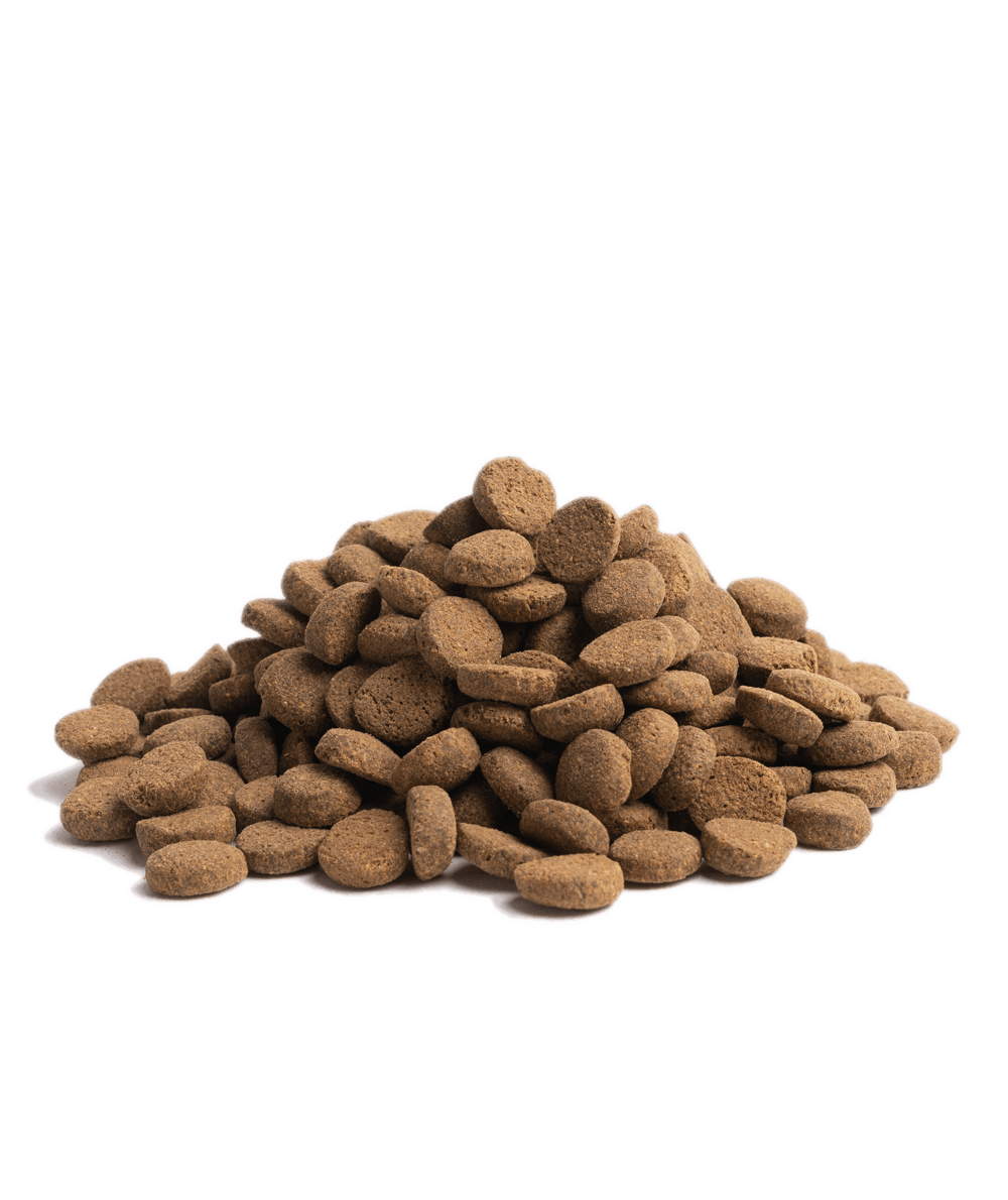 10KG ESSENTIAL OLDER - PupDeluxe.dk