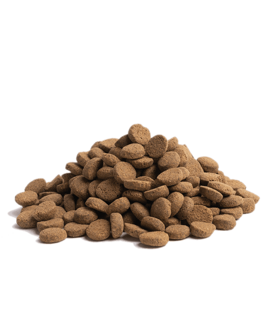 10KG ESSENTIAL OLDER - PupDeluxe.dk