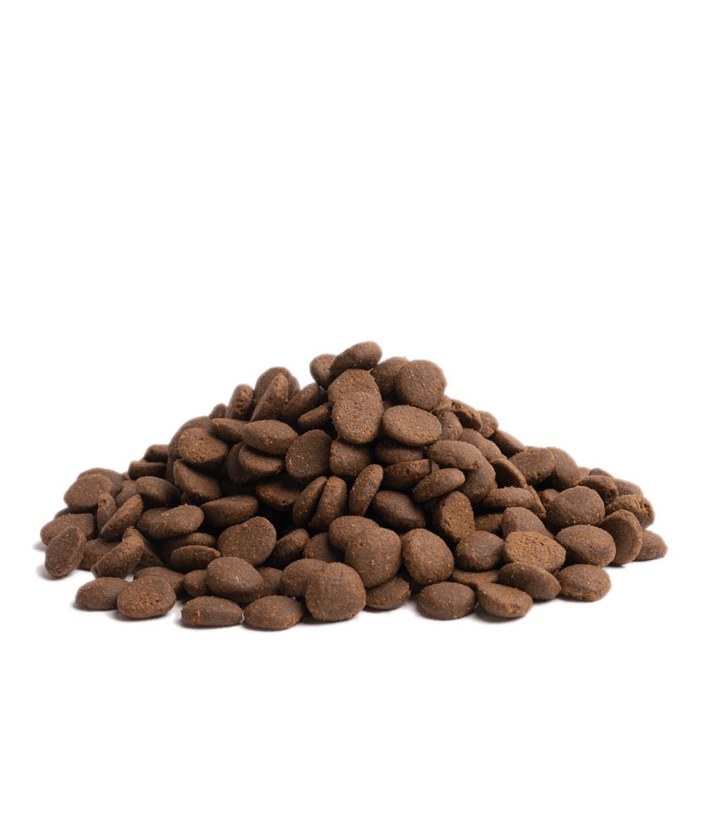 10KG ESSENTIAL STAMINA - PupDeluxe.dk