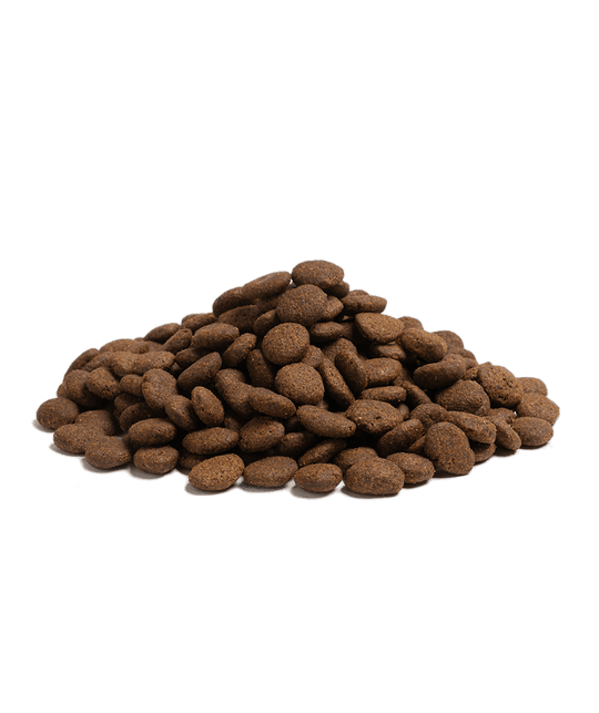 10KG ESSENTIAL THE BEGINNING LARGE BREED - PupDeluxe.dk