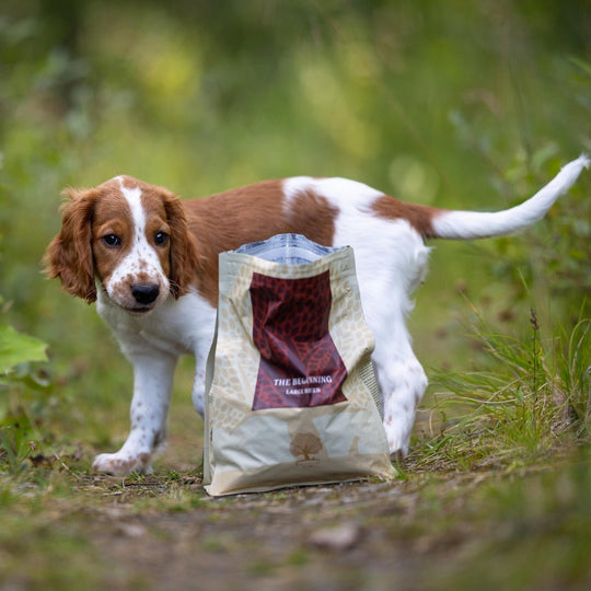 2,5KG ESSENTIAL THE BEGINNING LARGE BREED - PupDeluxe.dk