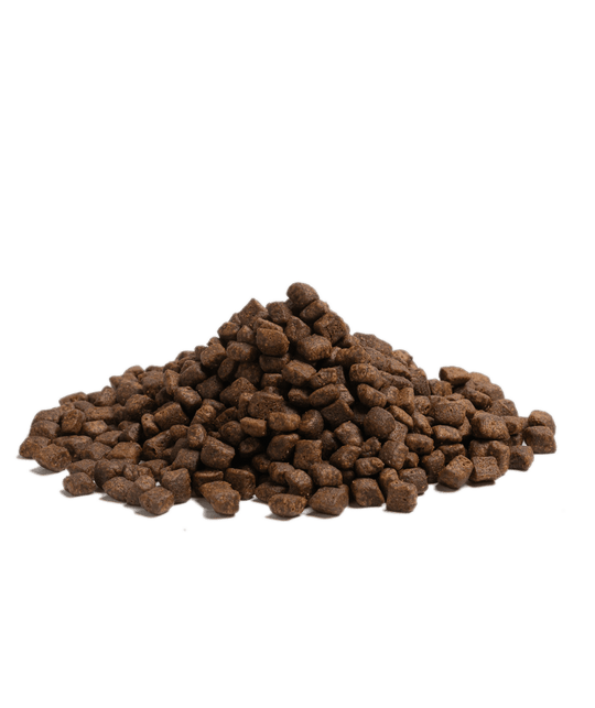 2,5KG SMALL SIZE ESSENTIAL HIGHLAND LIVING - PupDeluxe.dk