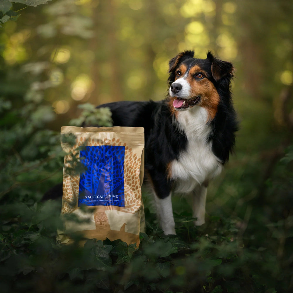 2,5KG SMALL SIZE ESSENTIAL NAUTICAL LIVING