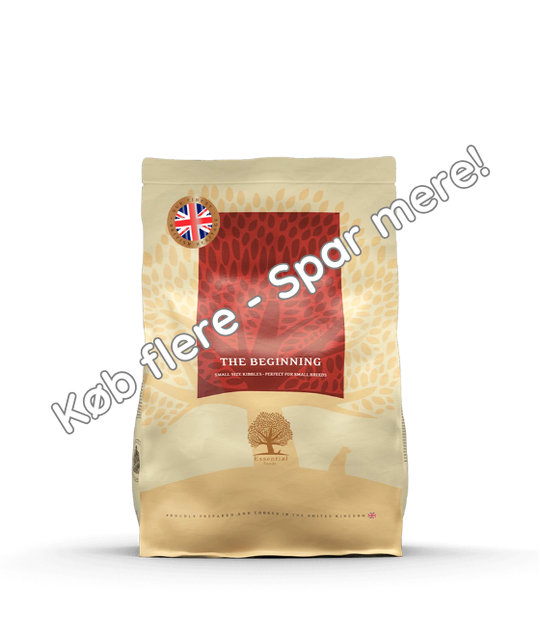 2,5KG SMALL SIZE ESSENTIAL THE BEGINNING