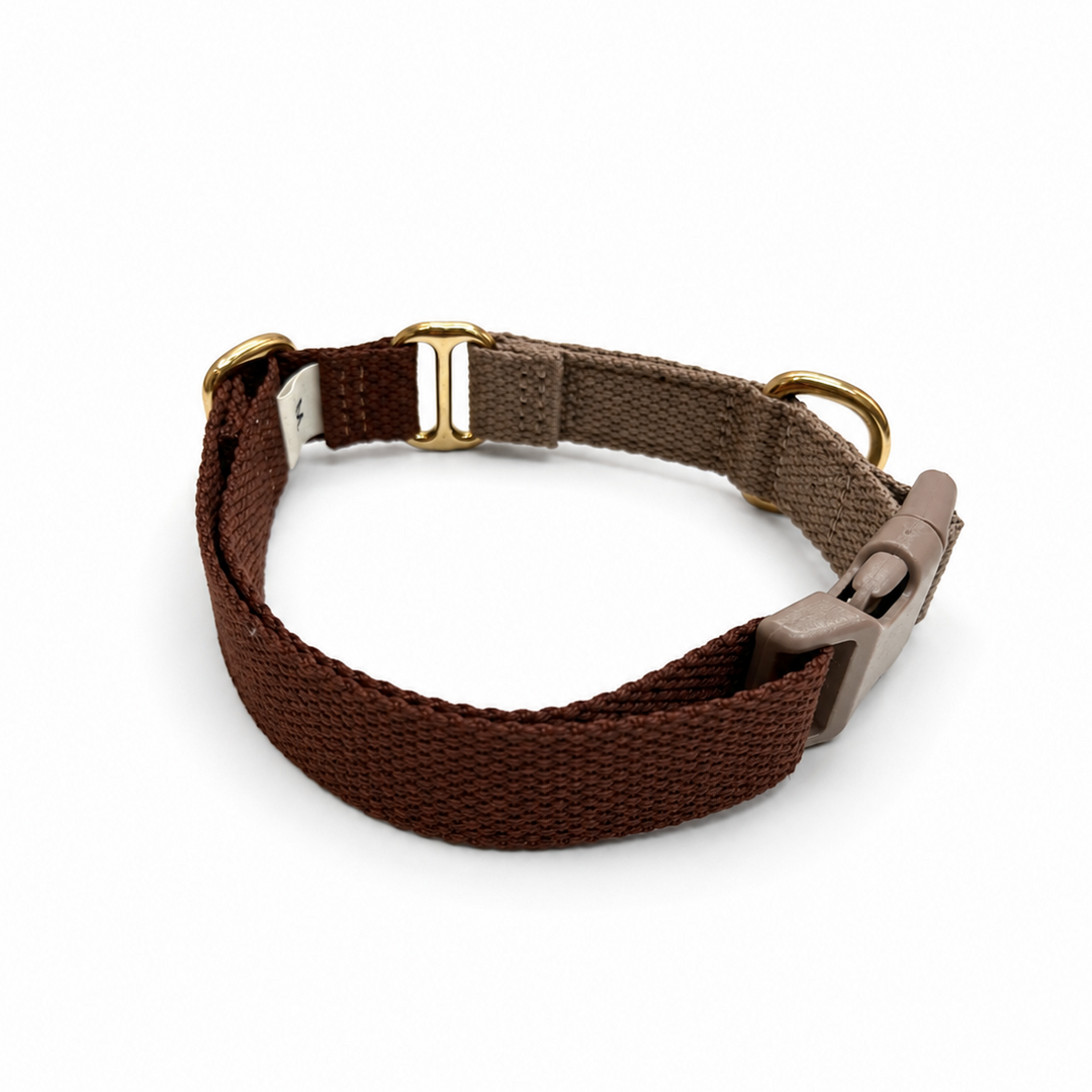 Zenora Sienna Hundehalsbånd