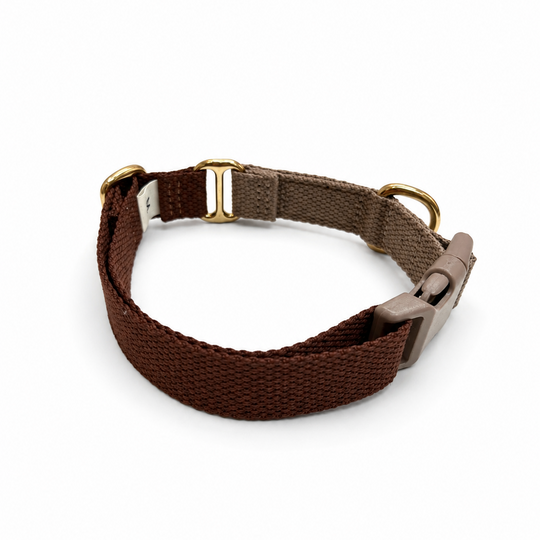 Zenora Sienna Hundehalsbånd