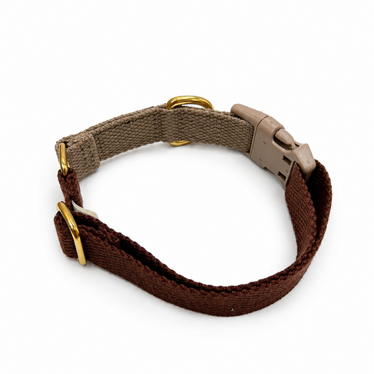 Zenora Sienna Hundehalsbånd