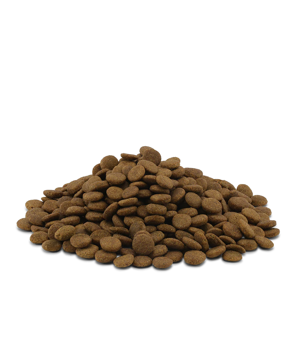 10KG ESSENTIAL ETERNAL LIVING