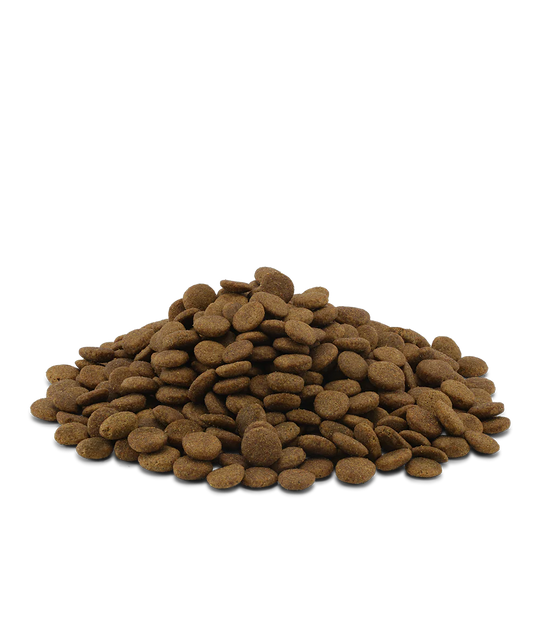 10KG ESSENTIAL ETERNAL LIVING