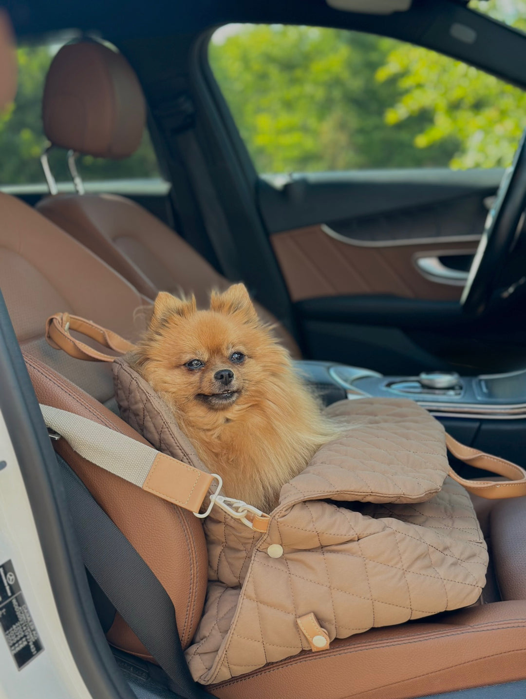 Zenora 3i1 hundetaske Brindisi - PupDeluxe.dk