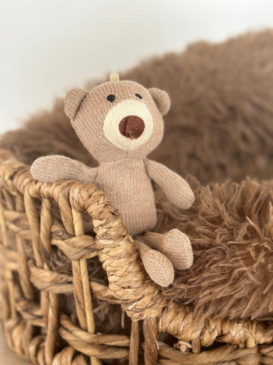 Lille bjørnebamse