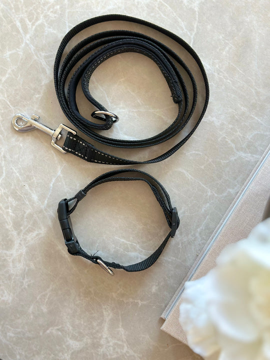 Reflekterende halsbånd + snor kit - Sort - PupDeluxe.dk