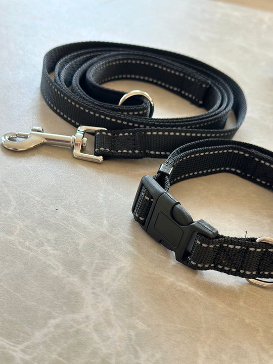 Reflekterende halsbånd + snor kit - Sort - PupDeluxe.dk