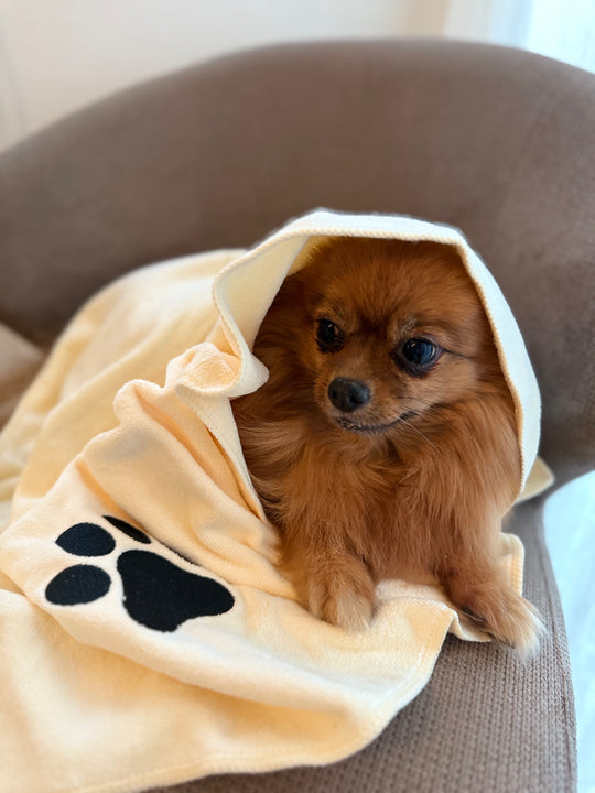 Mikrofiber håndklæde - PupDeluxe.dk