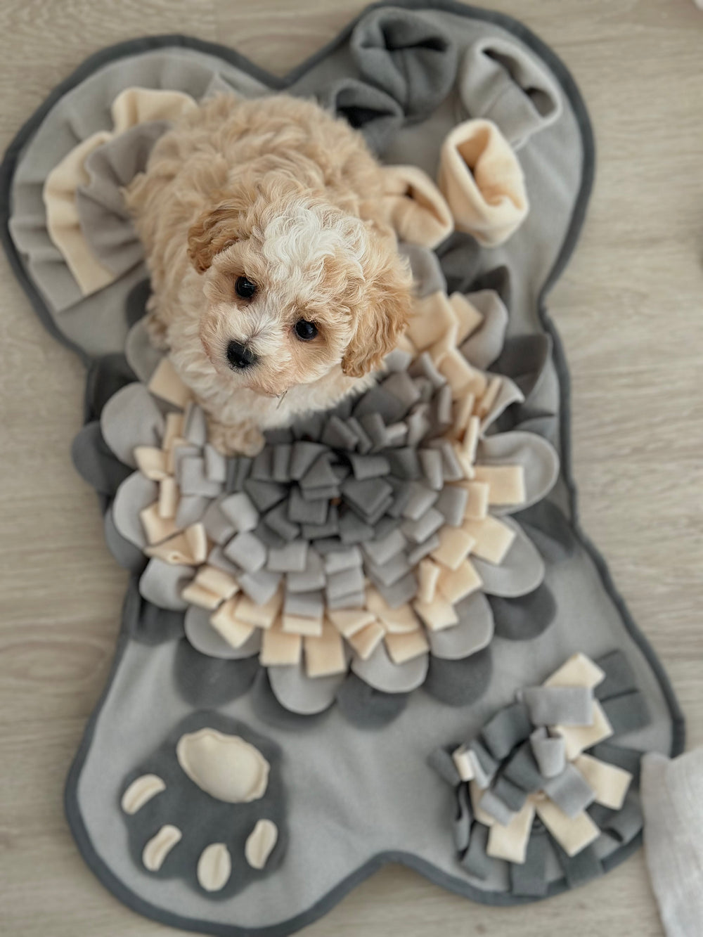 Snusemåtte - PupDeluxe.dk