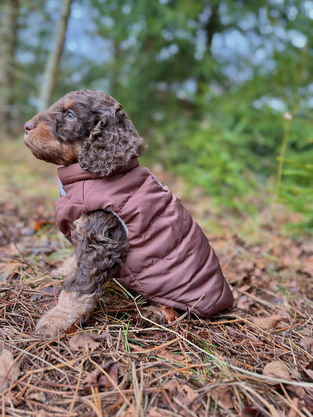 Zenora Step - in Dynejakke Kinder - PupDeluxe.dk