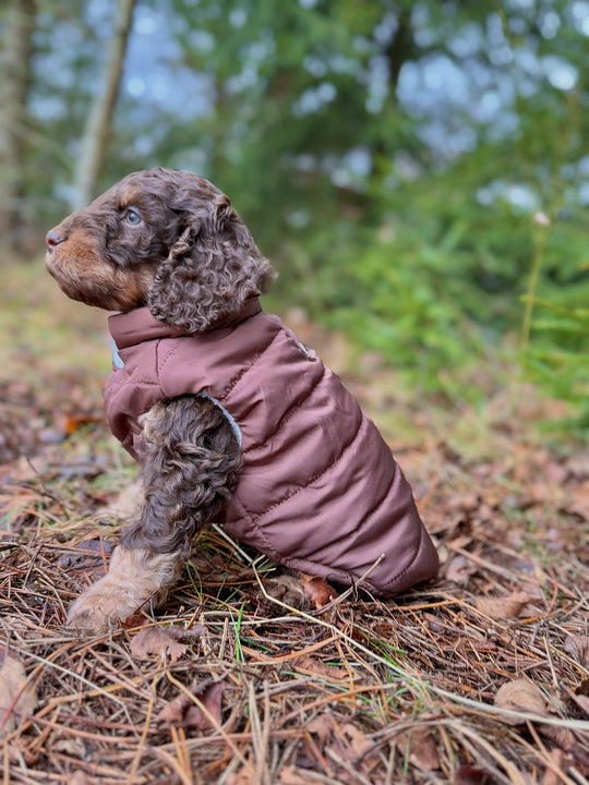 Zenora Step - in Dynejakke Kinder - PupDeluxe.dk