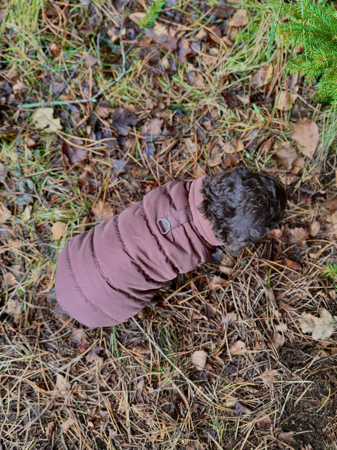 Zenora Step - in Dynejakke Kinder - PupDeluxe.dk