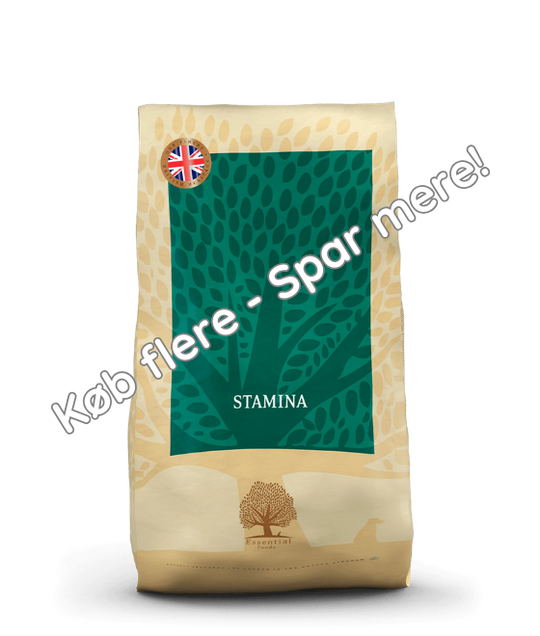 10KG ESSENTIAL STAMINA