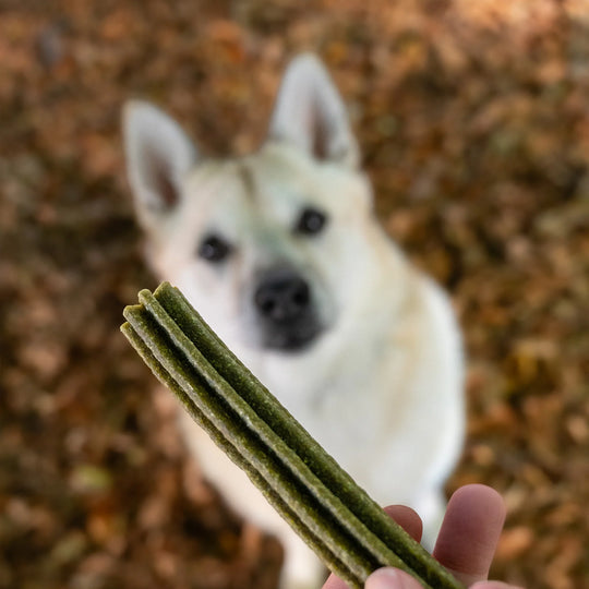 Essential Chamomile & Sage Teeth Delights