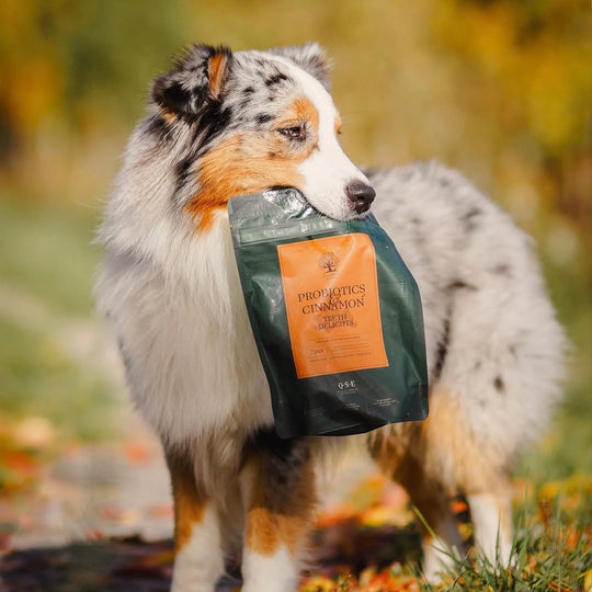 Essential Probiotics & Cinnamon Teeth Delights