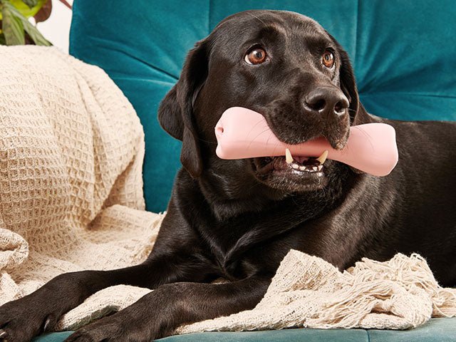 Beco Natural Rubber Ben, Lyserød - PupDeluxe.dk