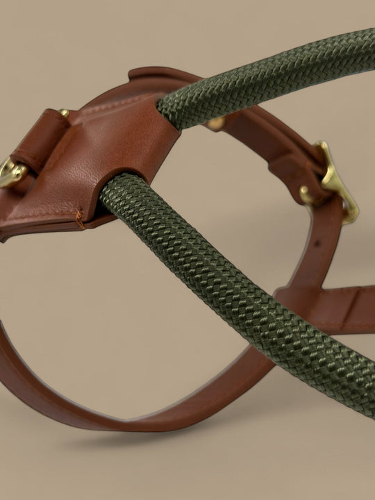 Bjorken™ sele - PupDeluxe.dk