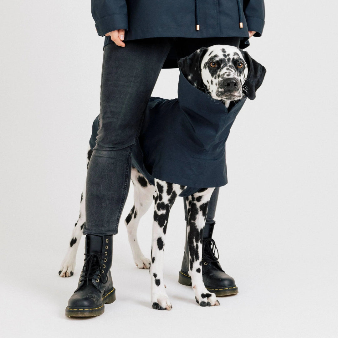 Cloud7 Hunderegnjakke Lewis Navy - PupDeluxe.dk