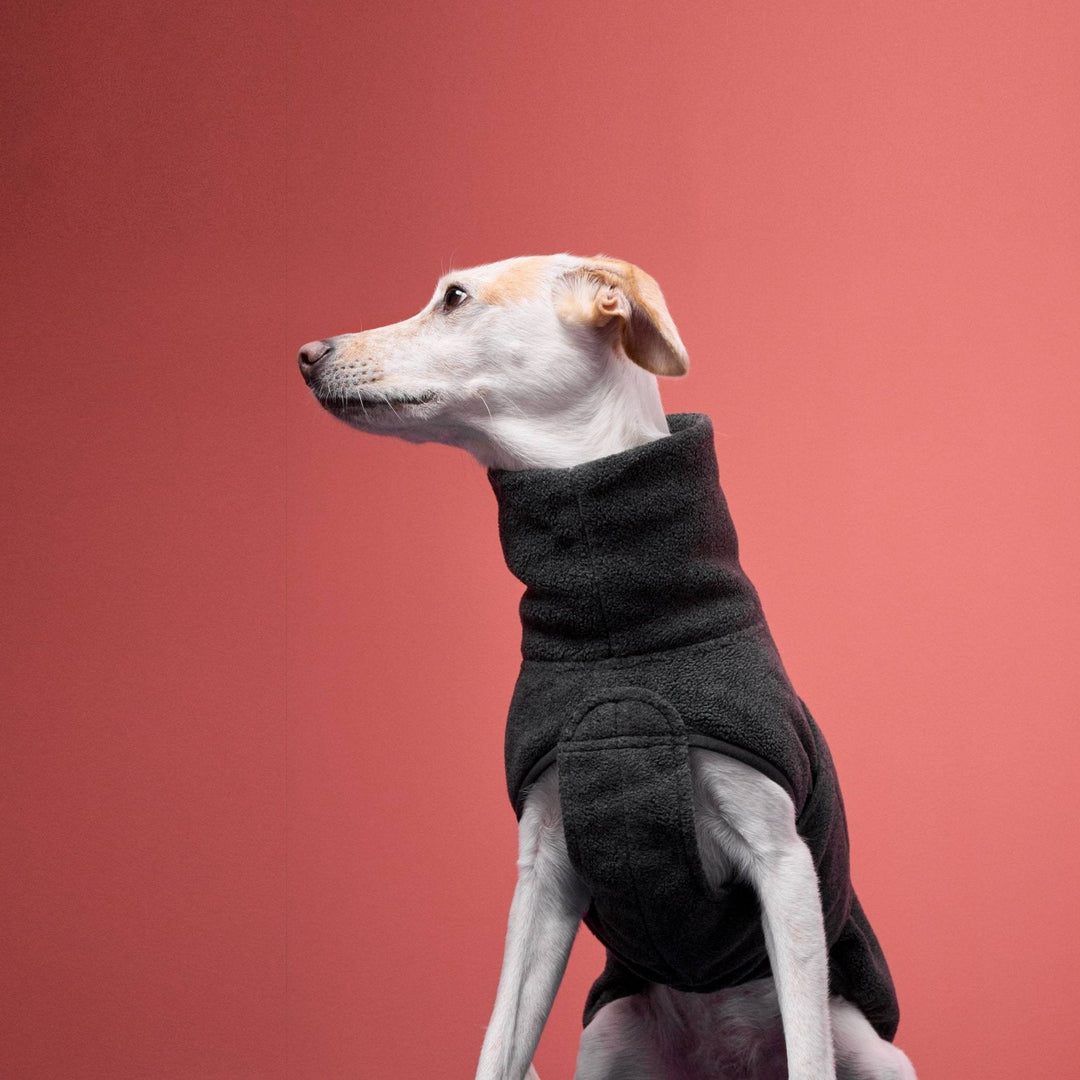Cloud7 Hundesweater Fleece Derby Dark Grey - PupDeluxe.dk