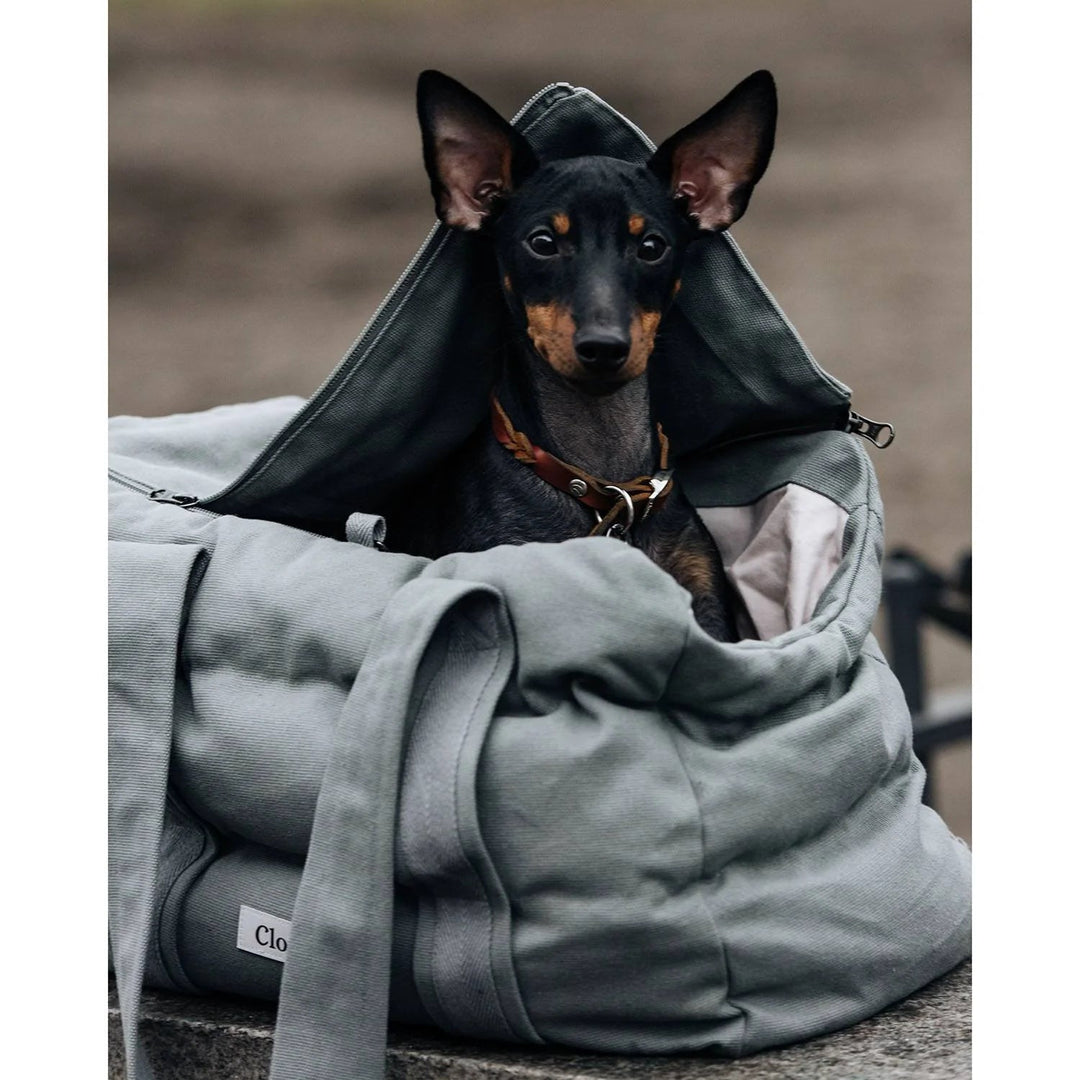 Cloud7 Hundetaske BERGAMO Canvas Grey - PupDeluxe.dk