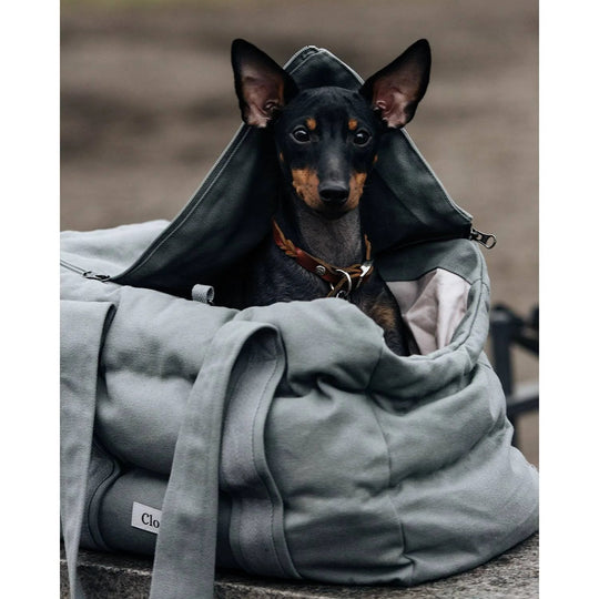 Cloud7 Hundetaske BERGAMO Canvas Grey - PupDeluxe.dk