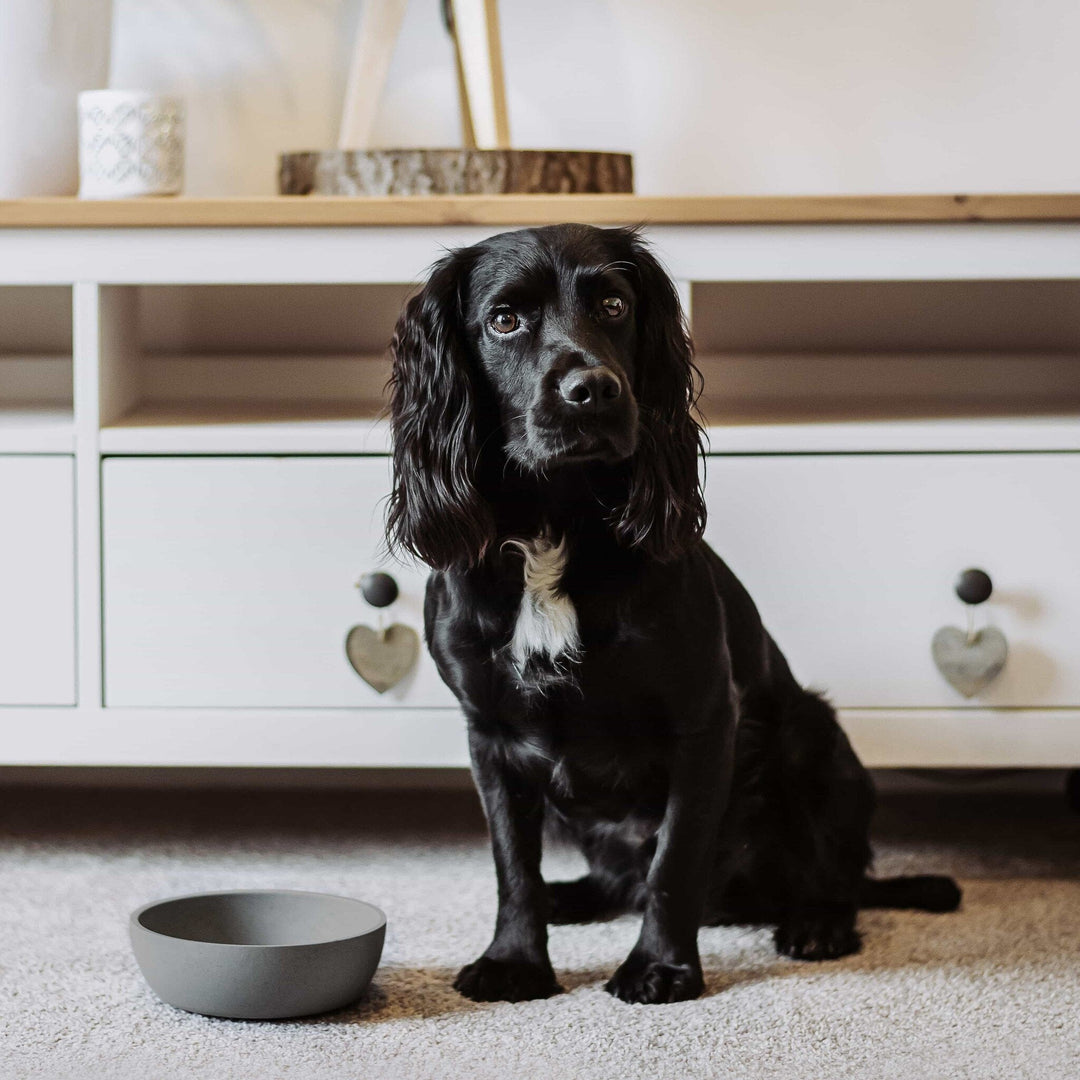 District70 BAMBOO Hundeskål - PupDeluxe.dk