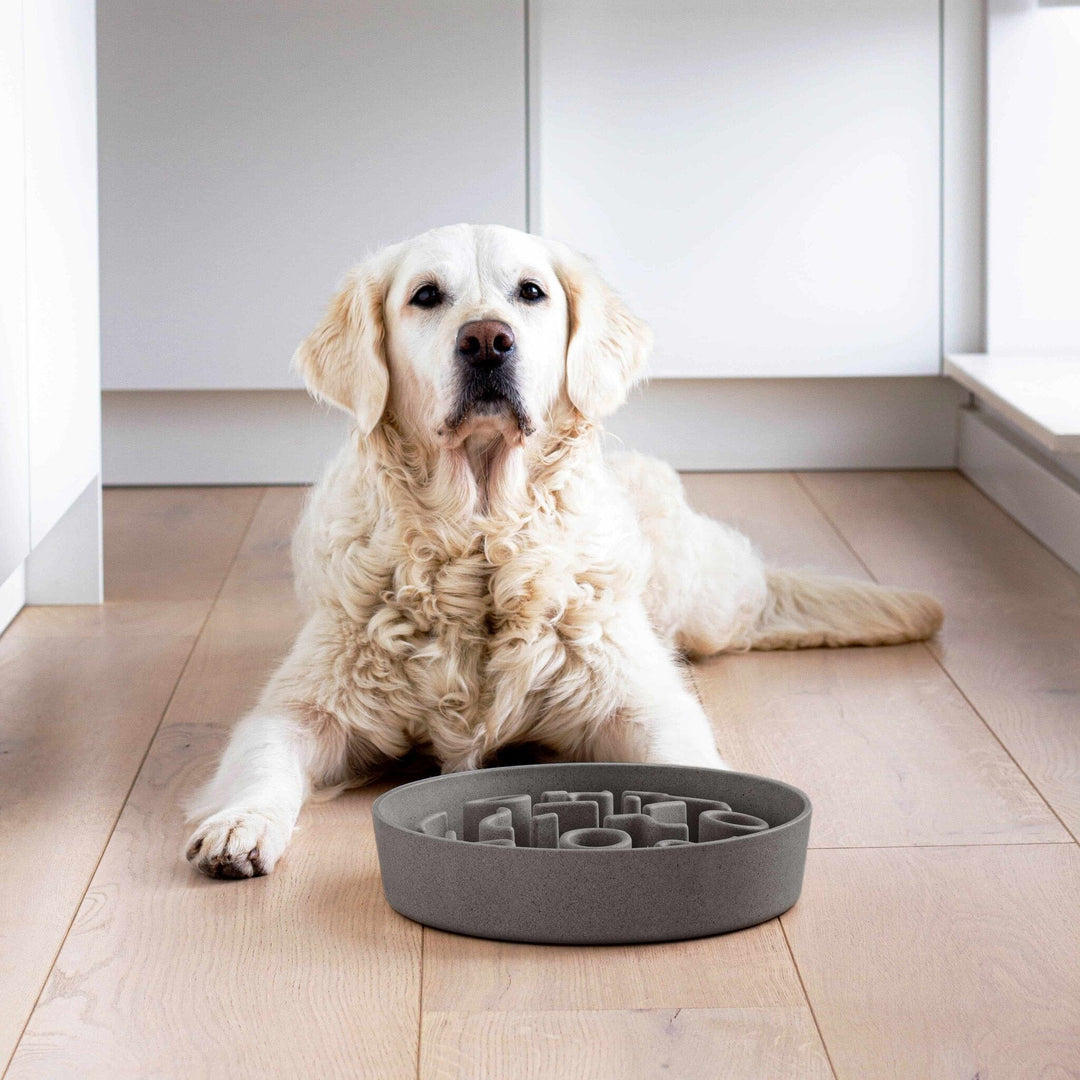 District70 BAMBOO Slow Feeder Hundeskål - PupDeluxe.dk