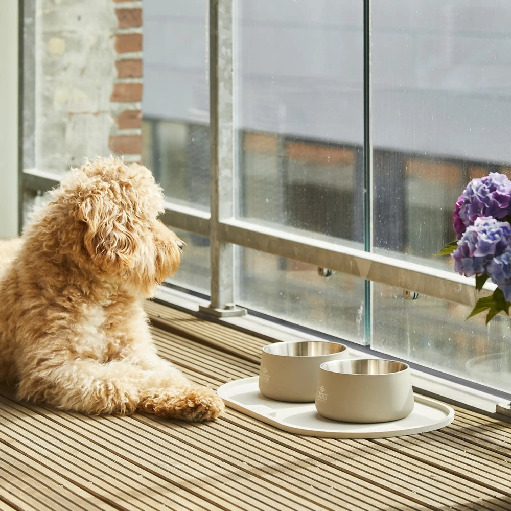 DOG Copenhagen Vega Skål - PupDeluxe.dk