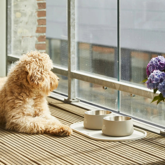 DOG Copenhagen Vega Skål - PupDeluxe.dk