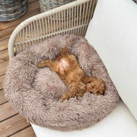 Donut Hundeseng - PupDeluxe.dk