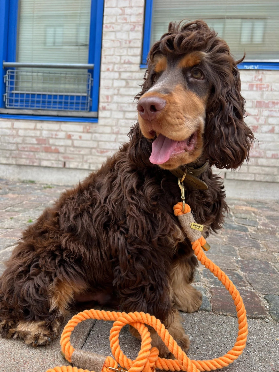 DREWS PEACH / Justerbar og blød hundesnor (orange) - PupDeluxe.dk