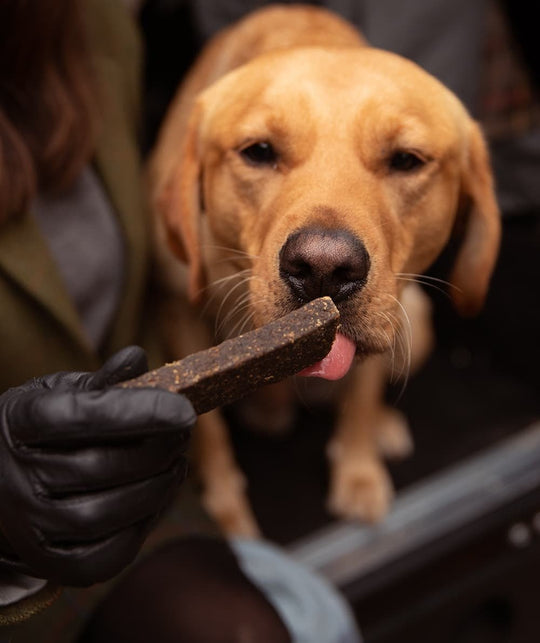 Essential Finest Lamb & Venison Bars 3 stk - PupDeluxe.dk