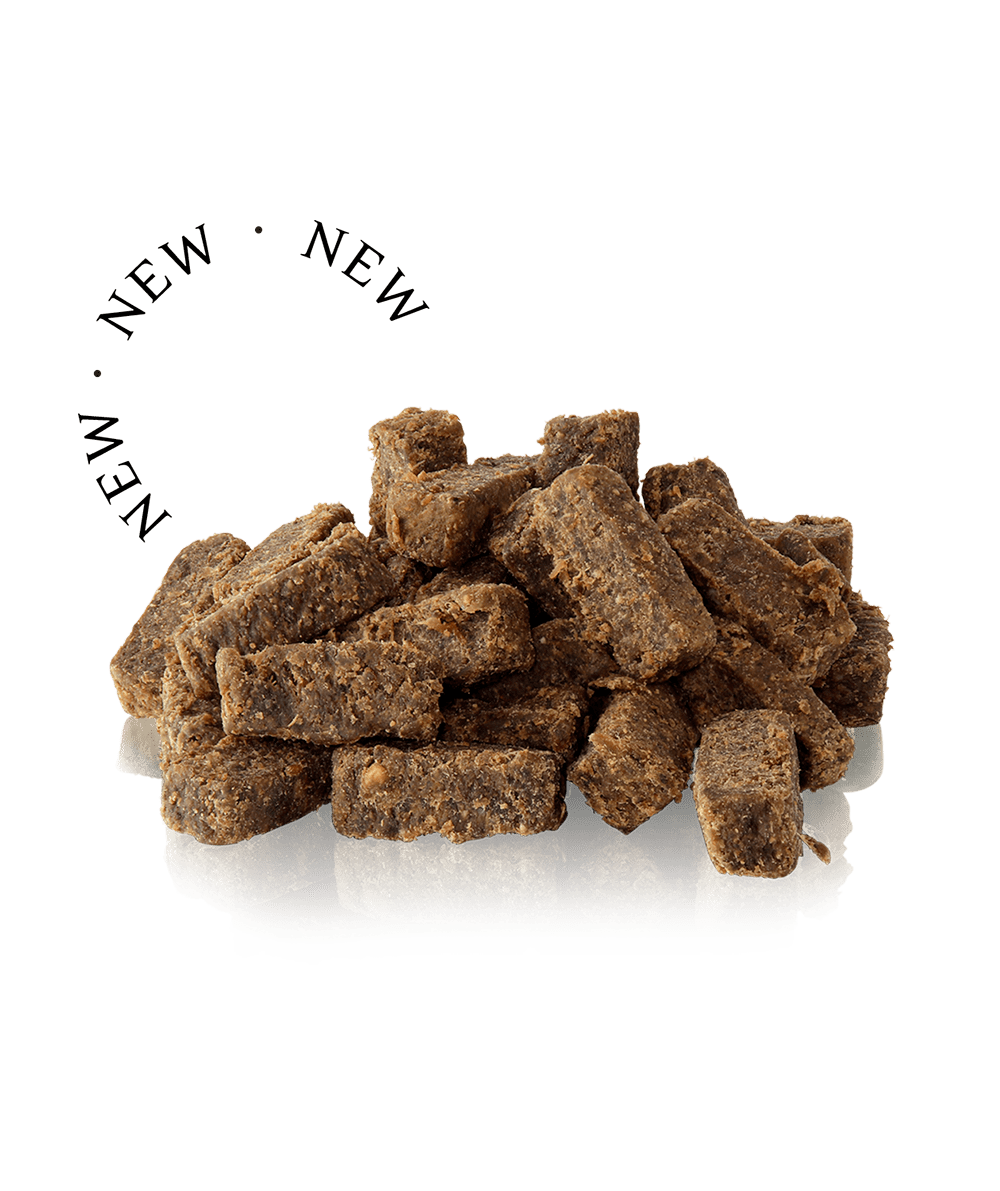 Essential Finest Pork & Sage Squares - PupDeluxe.dk